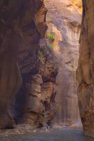 Zion National Park Narrows photo