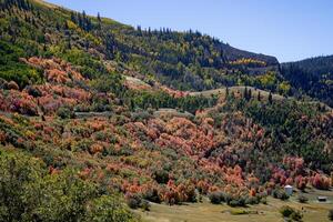 otoño en Utah campo foto