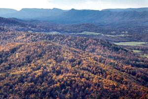 Fall In Virginia photo