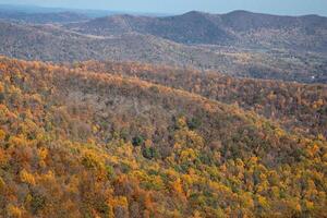 otoño en Virginia foto