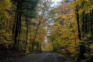 colores de otoño de vermont foto