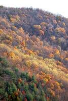 Autumn From Blue Ridge Parkway photo