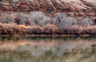 Colorado River Reflection photo