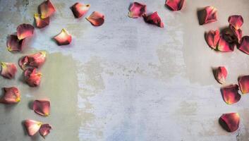 Top view of rose petals on multi-colored rough, textured surface with space for text photo