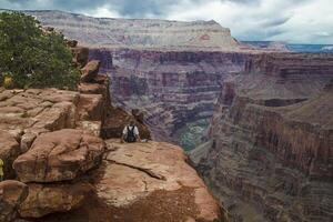 Toroweap Grand Canyon photo