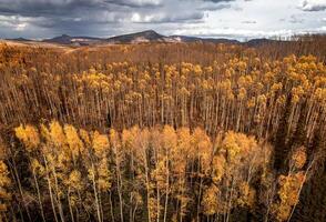 Utah Fall Colors photo