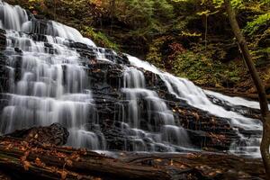 parque estatal ricketts glen foto