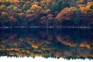 Fall In Acadia photo