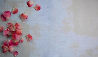 Top view of rose petals on multi-colored rough, textured surface with space for text photo