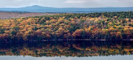 Fall In Acadia photo