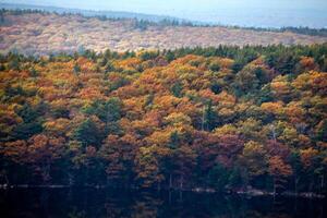 Fall In Acadia photo