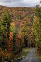 Pennsylvania Fall Colors photo