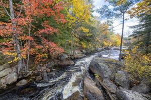 New Hampshire Fall Colors photo