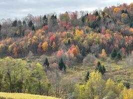 otoño en rural nuevo York foto