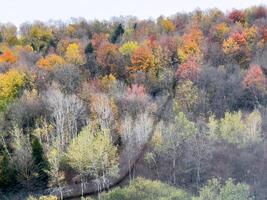 Fall In Rural New York photo