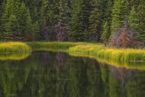 teton estanque reflexión foto