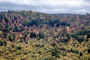 Pennsylvania Fall Colors photo