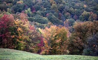 Pensilvania otoño colores foto