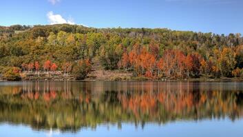 Kolob Autumn Reflection photo