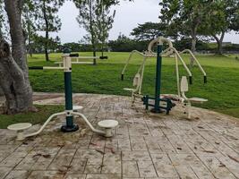 rutina de ejercicio arena en el verde parque. el foto es adecuado a utilizar para aficiones actividad, ocio actividad y parque antecedentes.