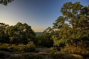 Hot Day on Bear Mountain photo