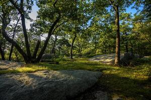 Hot Day on Bear Mountain photo