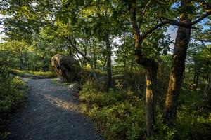 Hot Day on Bear Mountain photo