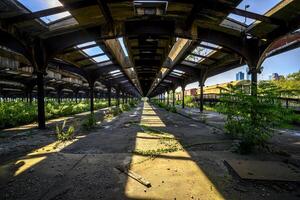 Liberty State Park photo