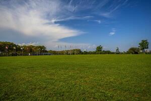 Liberty State Park photo