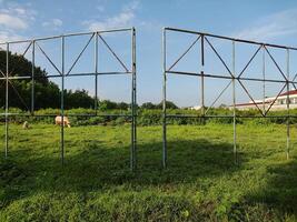 Scenic view of field against sky photo
