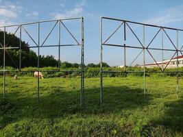 escénico ver de campo en contra cielo foto