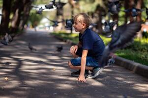 un chico en un azul camiseta se sienta en el asfalto en el parque y mira a el palomas foto