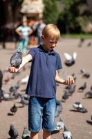 A little blond boy feeds pigeons in the park. Selective focus. photo