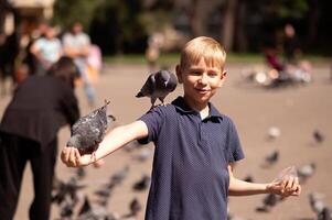 A little blond boy feeds pigeons in the park. Selective focus. photo