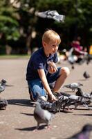 Cute little boy feeding pigeons in the city park. Selective focus. photo