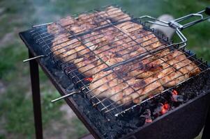 grilled meat on the coals in the garden, closeup photo