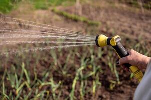 Watering the garden with a hose. photo