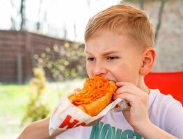 A boy eats a hotdog at a table in a cafe in a spring park photo