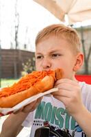 A boy eats a hotdog at a table in a cafe in a spring park photo