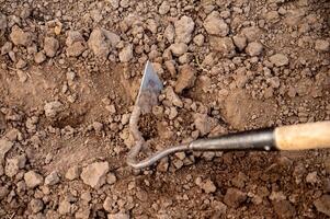 Gardening tools on the ground. Gardening and agriculture concept. photo