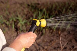 Watering the garden with a hose. photo