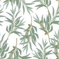 Seamless pattern of olive branches with olives on a white background vector