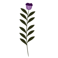 Botanical flower plant png