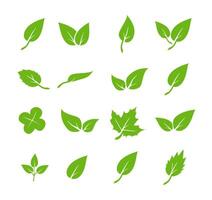 Green leaf icons set. Elements vector