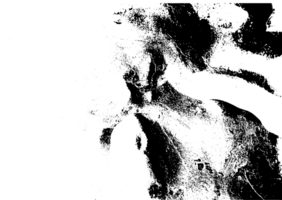 Rustic grunge texture with grain and stains. Abstract noise background. Graphic illustration with transparent background. png