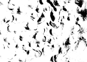 Rustic grunge texture with grain and stains. Abstract noise background. Graphic illustration with transparent background. png
