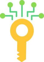 Digital Key Flat Icon vector