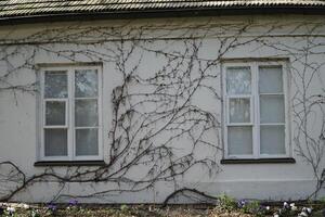 Zelazowa Wola, Poland - April 7th, 2024 - Windows of manor house photo