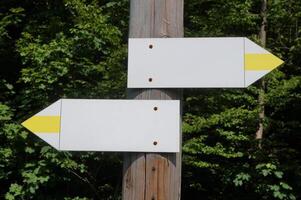 Wooden Signpost with Two Arrows photo