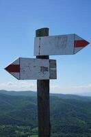 Wooden Signpost with Two Arrows photo